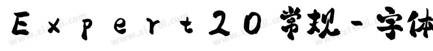 Expert20 常规字体转换
